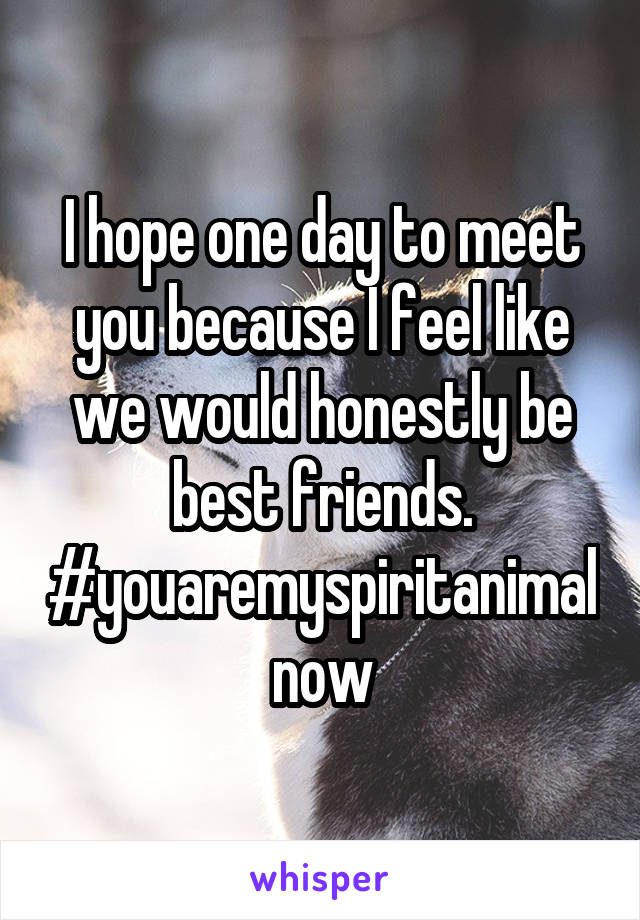 I hope one day to meet you because I feel like we would honestly be best friends. #youaremyspiritanimalnow