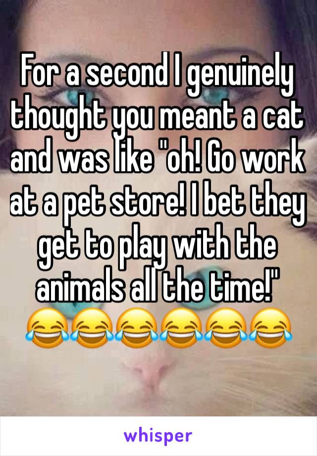 For a second I genuinely thought you meant a cat and was like "oh! Go work at a pet store! I bet they get to play with the animals all the time!"
😂😂😂😂😂😂