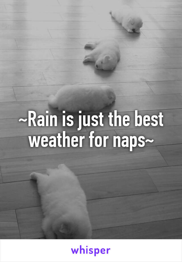 ~Rain is just the best weather for naps~