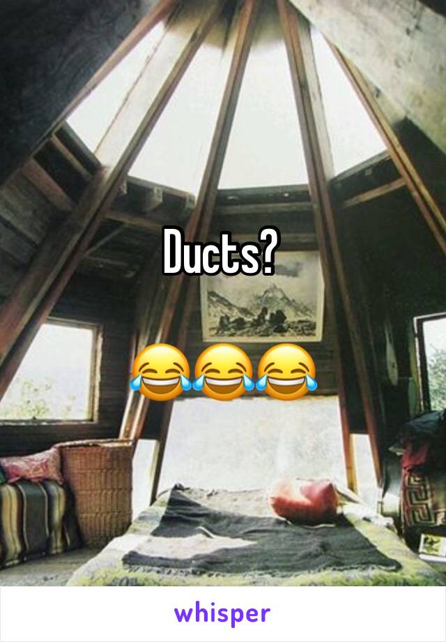 Ducts?

😂😂😂