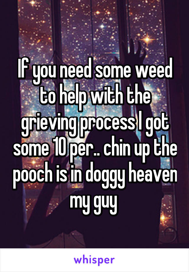 If you need some weed to help with the grieving process I got some 10 per.. chin up the pooch is in doggy heaven my guy 