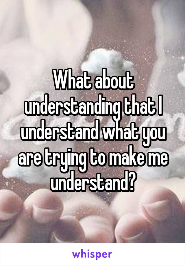 What about understanding that I understand what you are trying to make me understand?