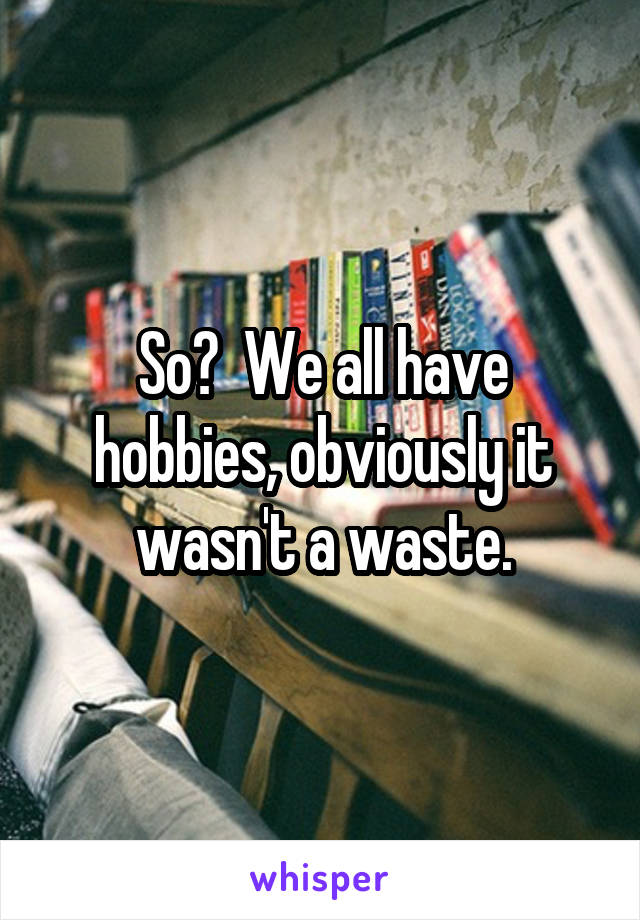 So?  We all have hobbies, obviously it wasn't a waste.