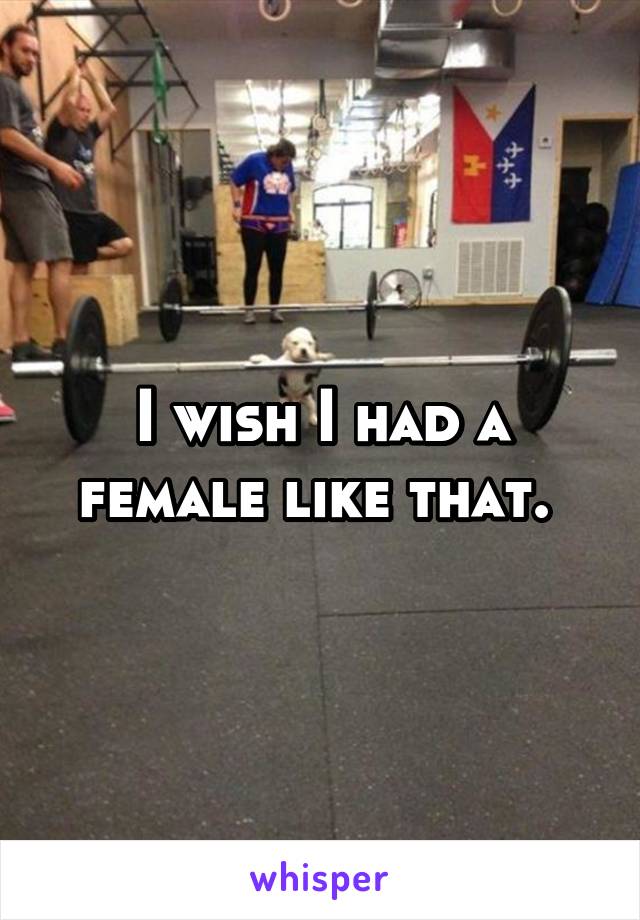 I wish I had a female like that. 