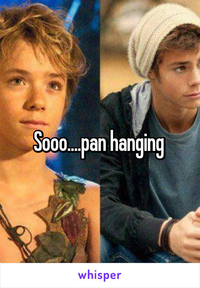 Sooo....pan hanging 