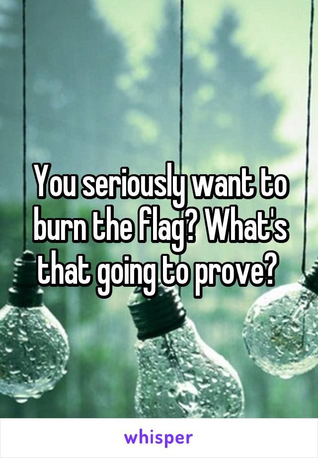 You seriously want to burn the flag? What's that going to prove? 