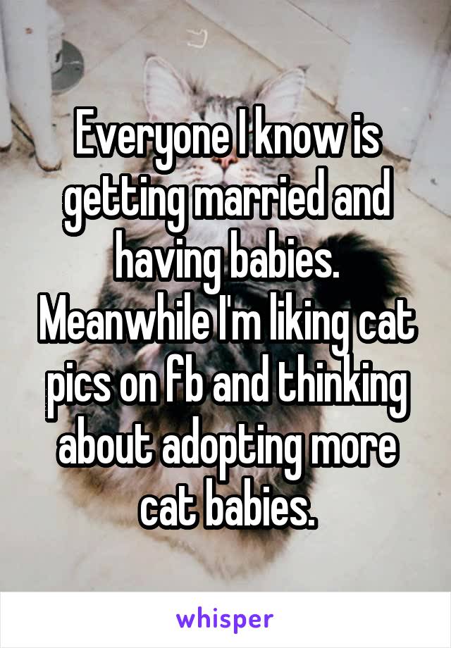 Everyone I know is getting married and having babies. Meanwhile I'm liking cat pics on fb and thinking about adopting more cat babies.