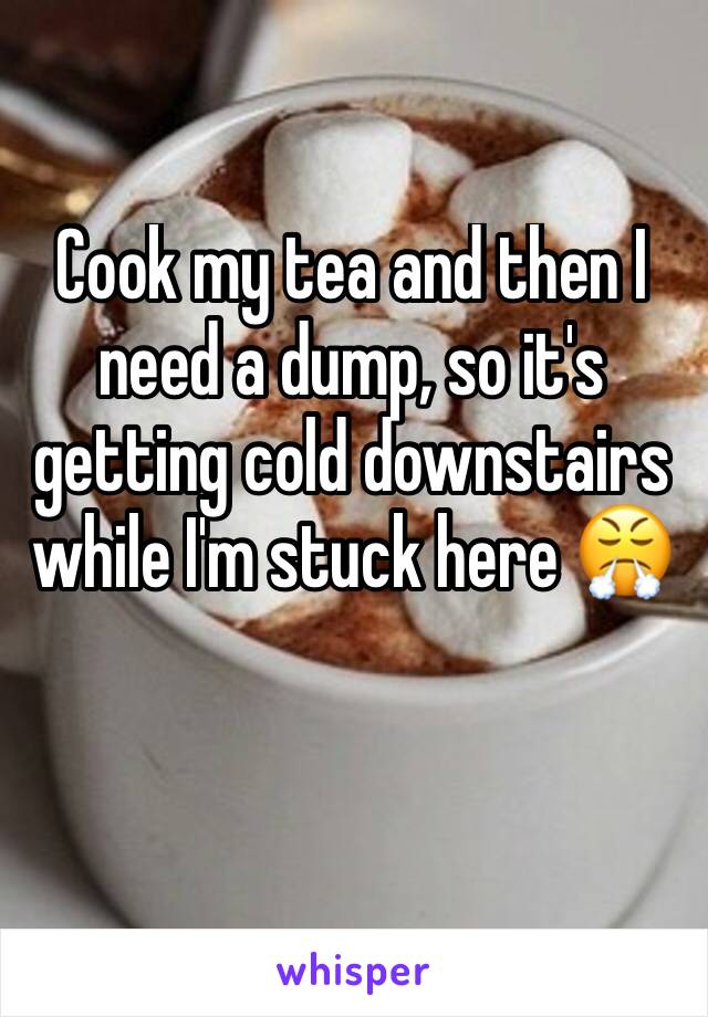 Cook my tea and then I need a dump, so it's getting cold downstairs while I'm stuck here 😤