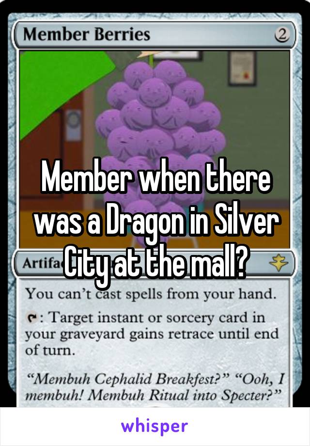 Member when there was a Dragon in Silver City at the mall?