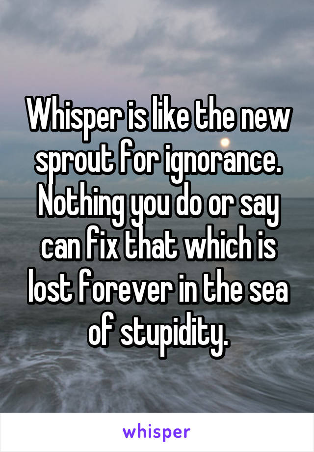 Whisper is like the new sprout for ignorance. Nothing you do or say can fix that which is lost forever in the sea of stupidity.