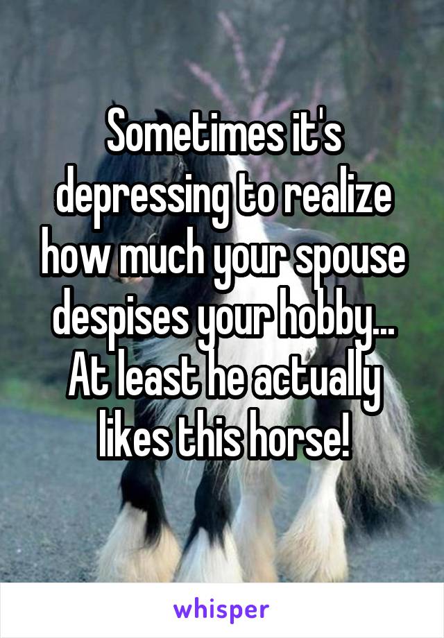 Sometimes it's depressing to realize how much your spouse despises your hobby... At least he actually likes this horse!
