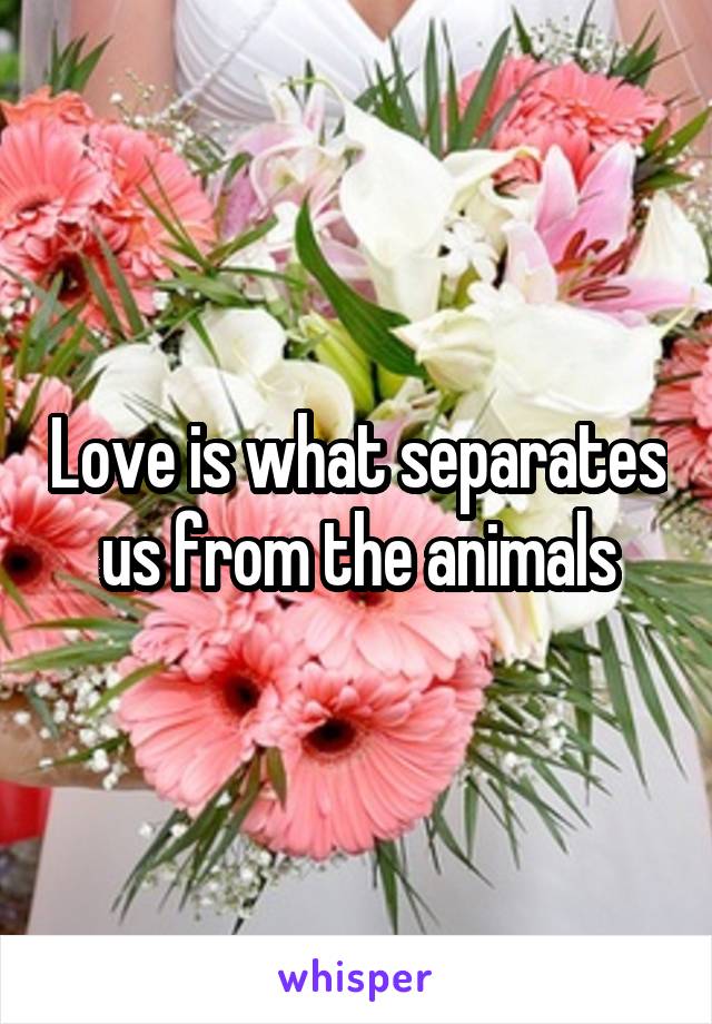 Love is what separates us from the animals