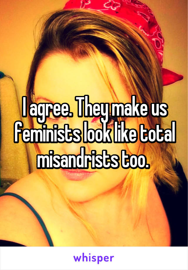 I agree. They make us feminists look like total misandrists too. 