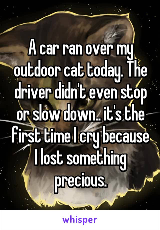 A car ran over my outdoor cat today. The driver didn't even stop or slow down.. it's the first time I cry because I lost something precious.