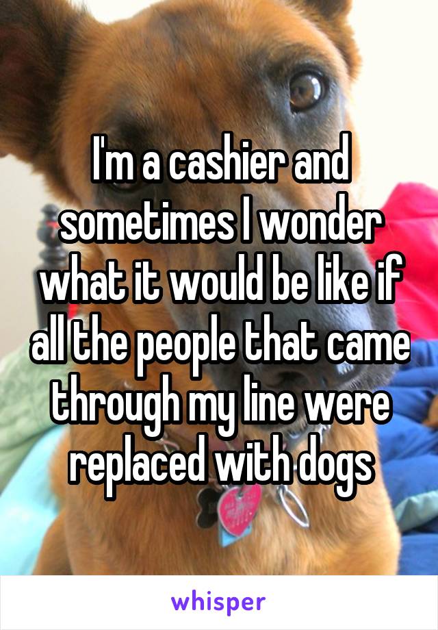 I'm a cashier and sometimes I wonder what it would be like if all the people that came through my line were replaced with dogs