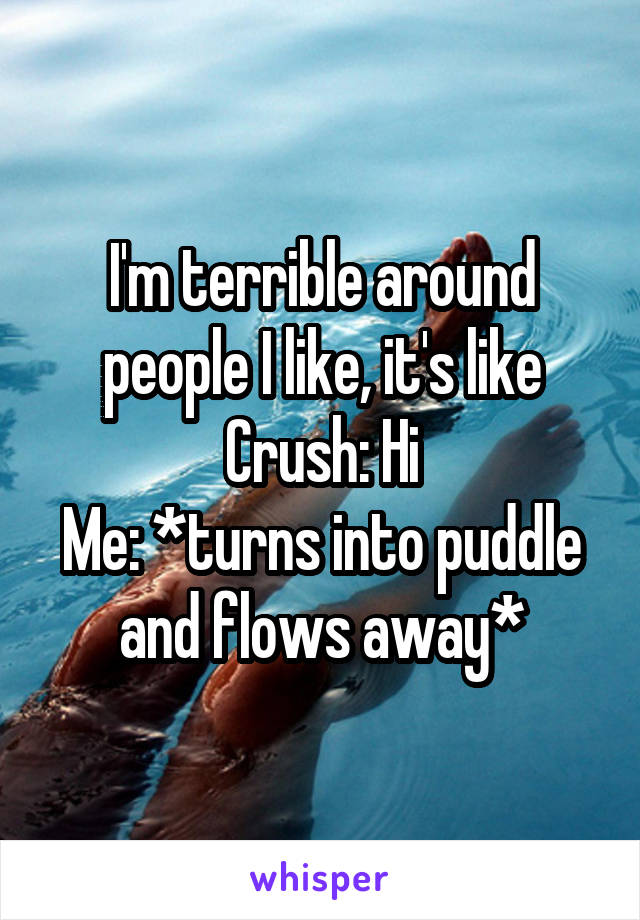 I'm terrible around people I like, it's like
Crush: Hi
Me: *turns into puddle and flows away*