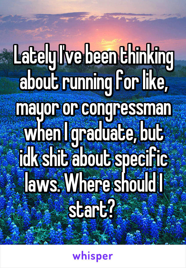 Lately I've been thinking about running for like, mayor or congressman when I graduate, but idk shit about specific laws. Where should I start? 