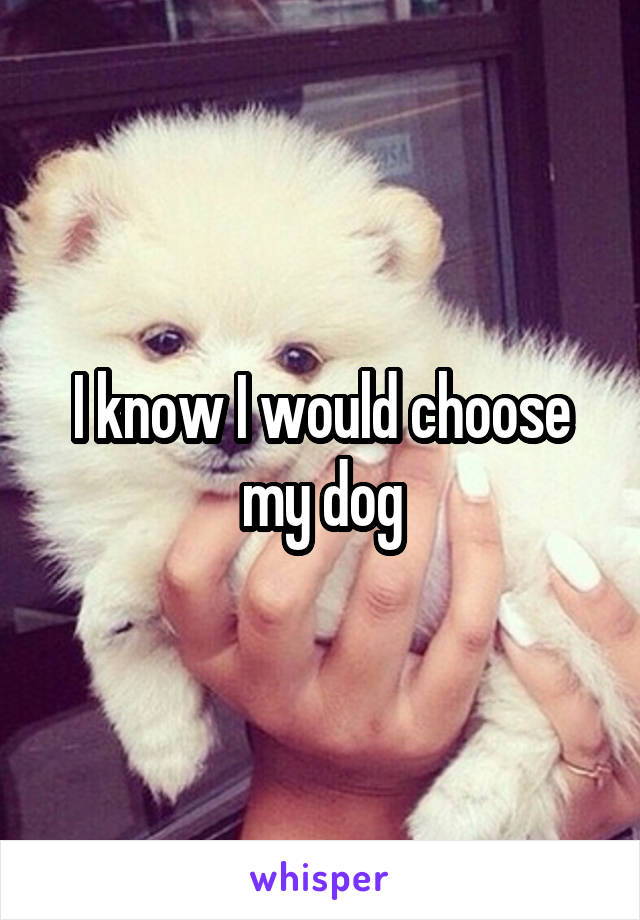 I know I would choose my dog