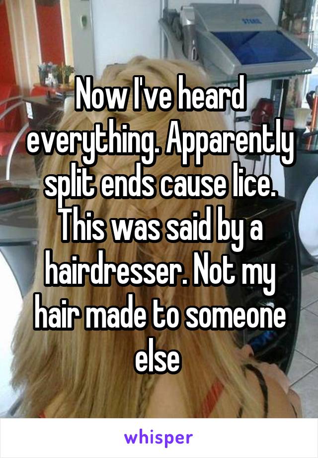 Now I've heard everything. Apparently split ends cause lice. This was said by a hairdresser. Not my hair made to someone else 