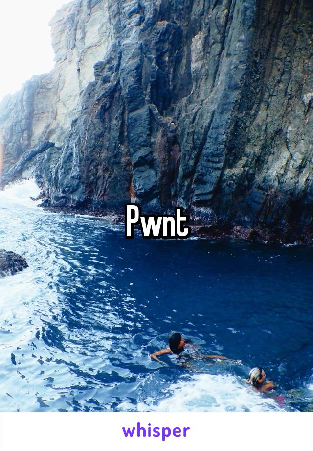 Pwnt