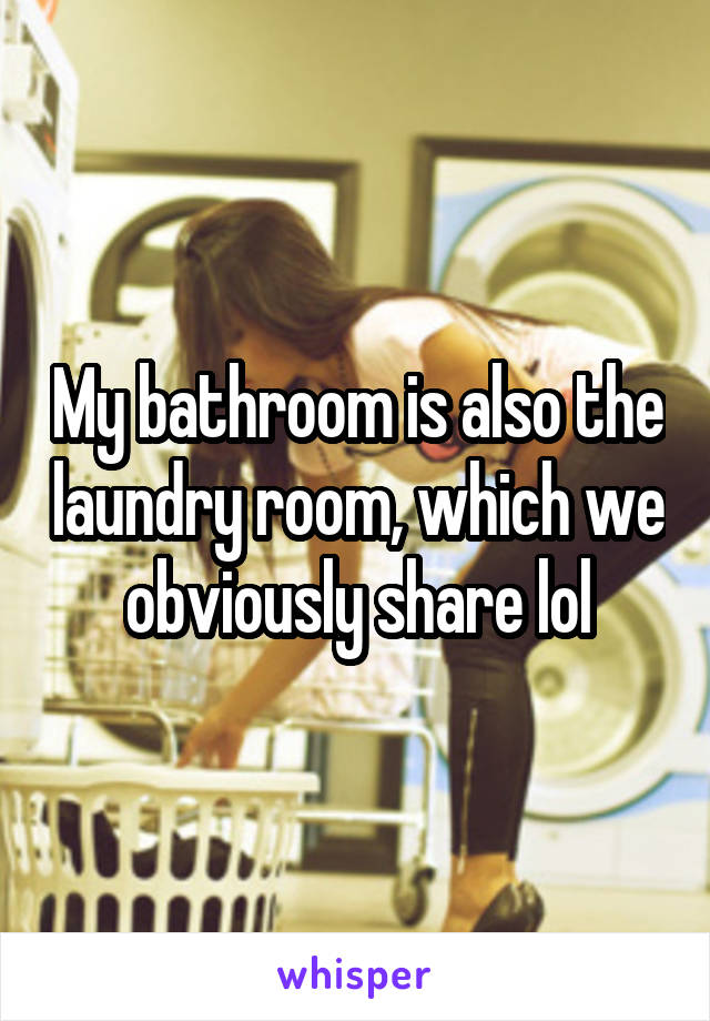 My bathroom is also the laundry room, which we obviously share lol