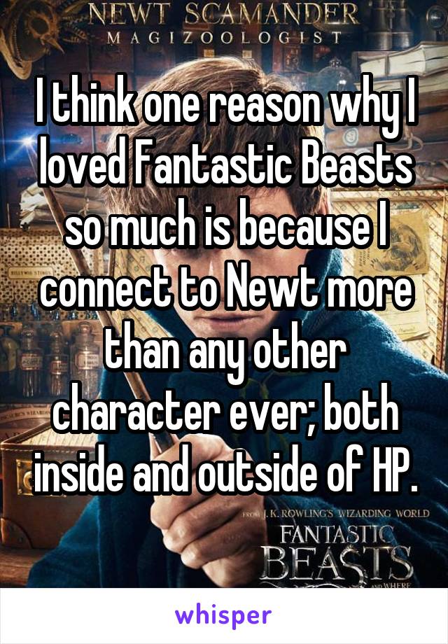 I think one reason why I loved Fantastic Beasts so much is because I connect to Newt more than any other character ever; both inside and outside of HP. 