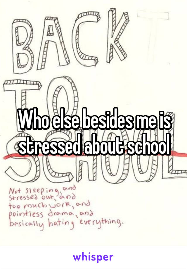 Who else besides me is stressed about school