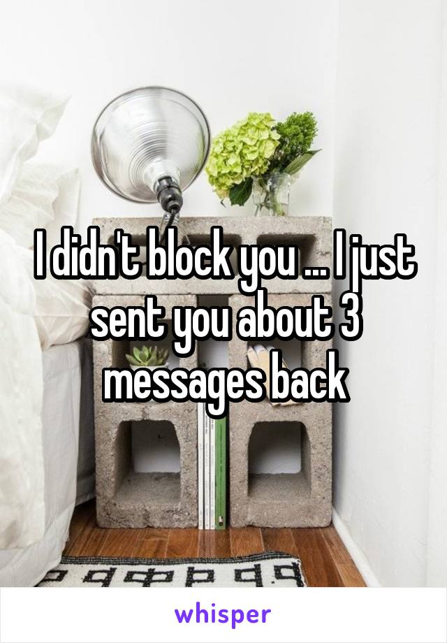 I didn't block you ... I just sent you about 3 messages back