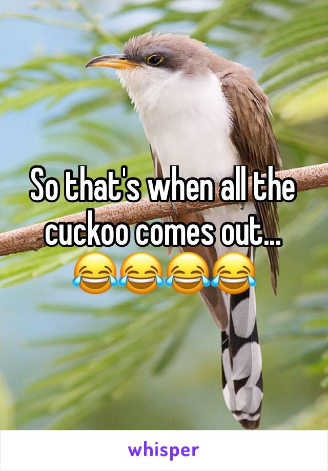 So that's when all the cuckoo comes out...
😂😂😂😂