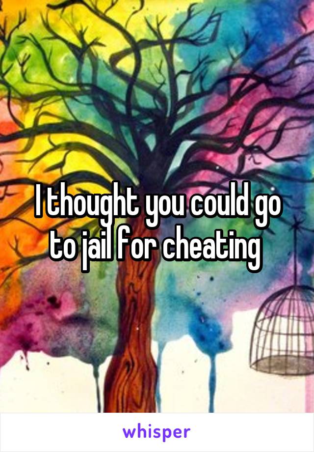 I thought you could go to jail for cheating 