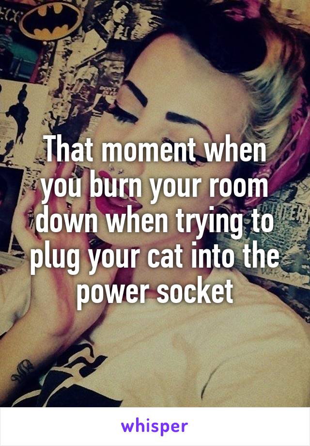 That moment when you burn your room down when trying to plug your cat into the power socket