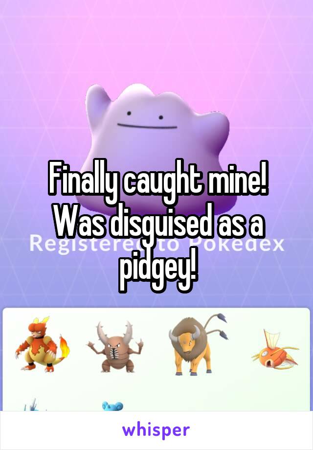 Finally caught mine! Was disguised as a pidgey!