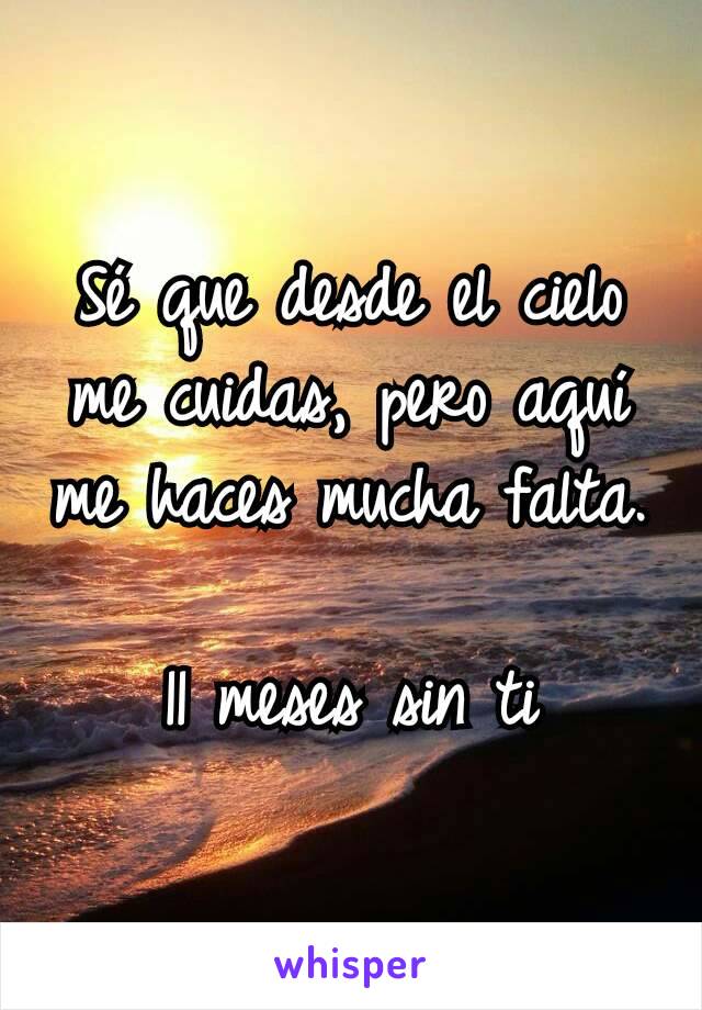 Sé que desde el cielo me cuidas, pero aquí me haces mucha falta.

11 meses sin ti