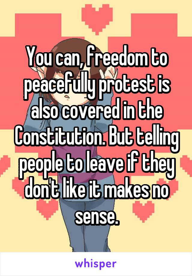 You can, freedom to peacefully protest is also covered in the Constitution. But telling people to leave if they don't like it makes no sense.