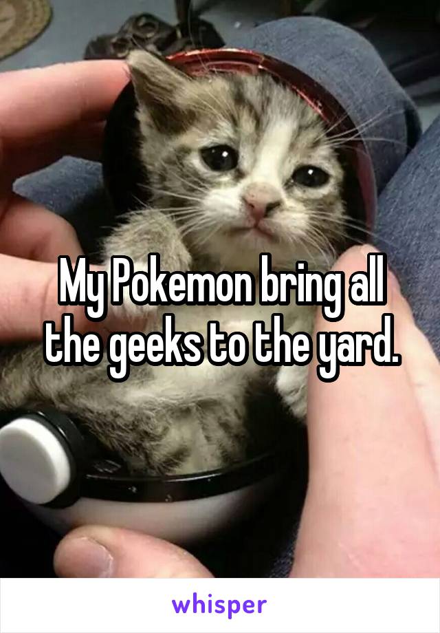 My Pokemon bring all the geeks to the yard.