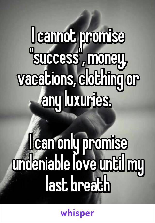 I cannot promise "success", money, vacations, clothing or any luxuries. 

I can only promise undeniable love until my last breath