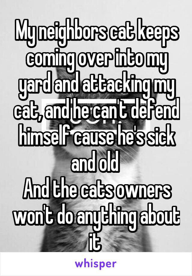 My neighbors cat keeps coming over into my yard and attacking my cat, and he can't defend himself cause he's sick and old 
And the cats owners won't do anything about it 