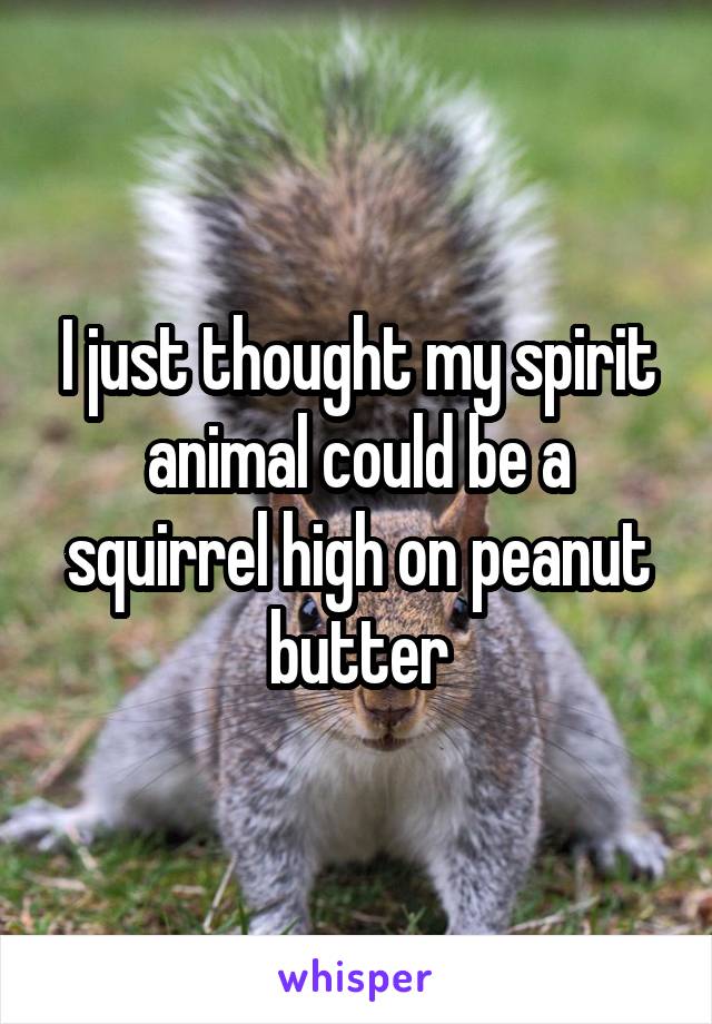 I just thought my spirit animal could be a squirrel high on peanut butter