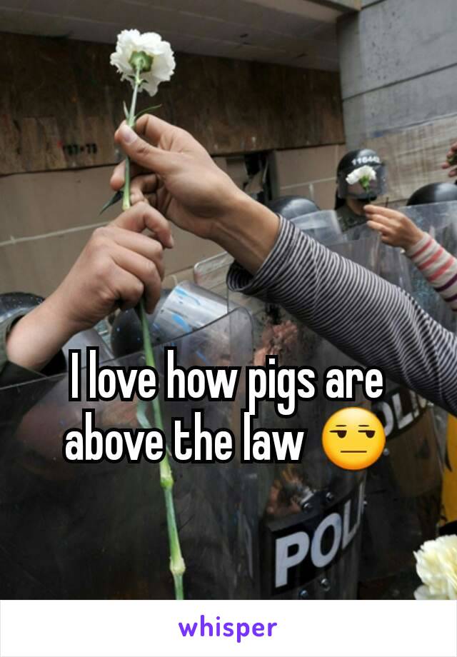 I love how pigs are above the law 😒