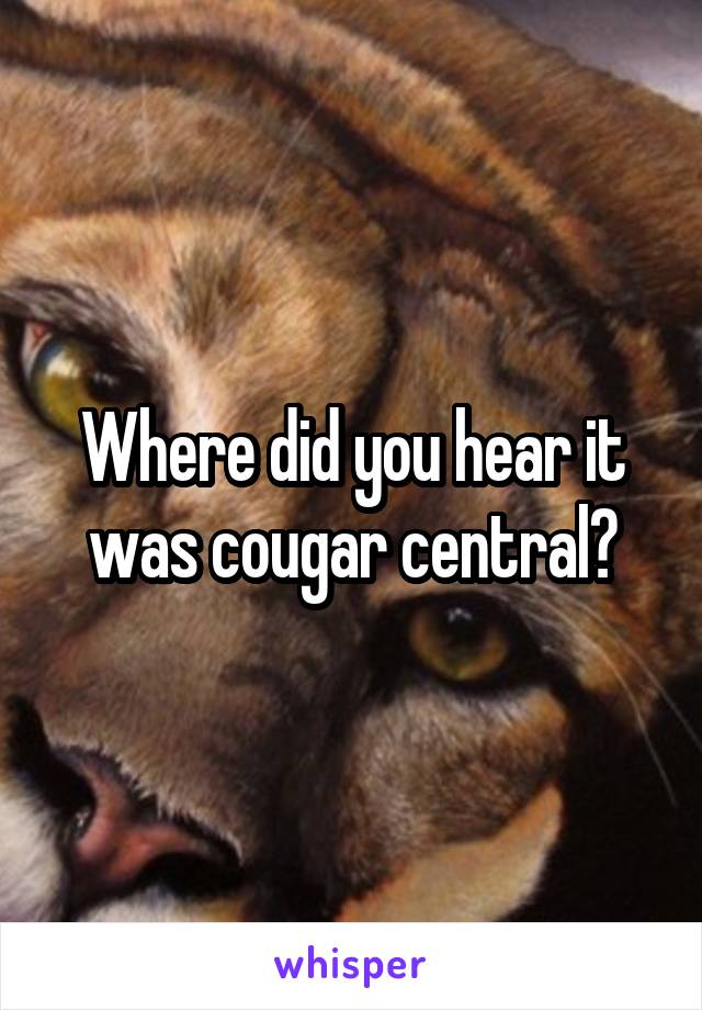 Where did you hear it was cougar central?