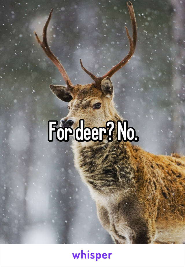 For deer? No.