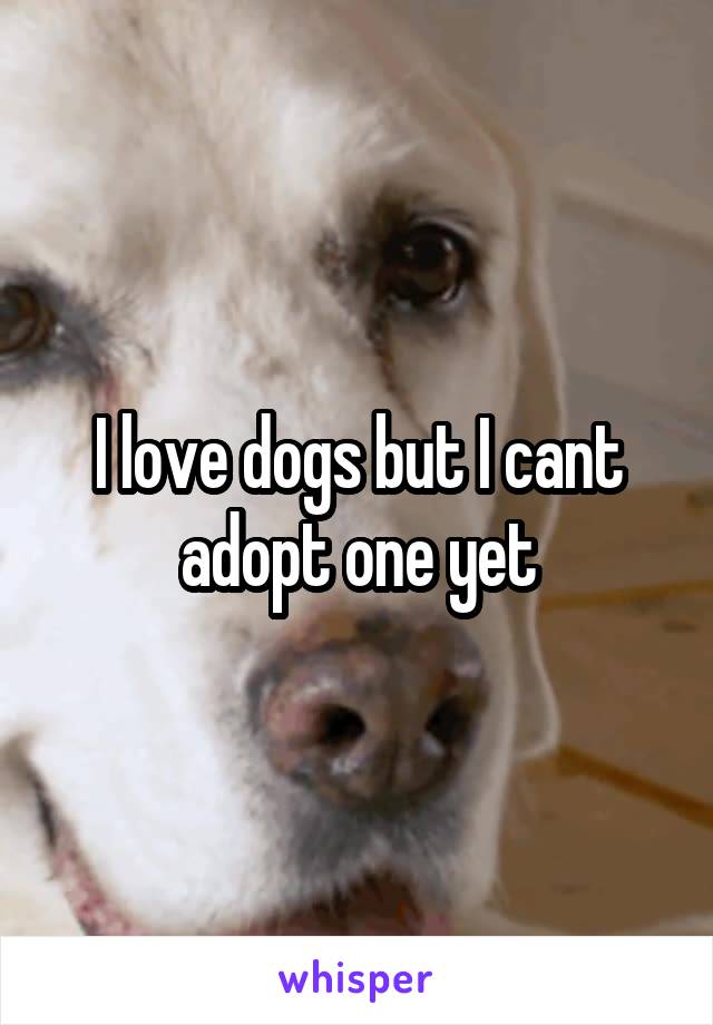 I love dogs but I cant adopt one yet