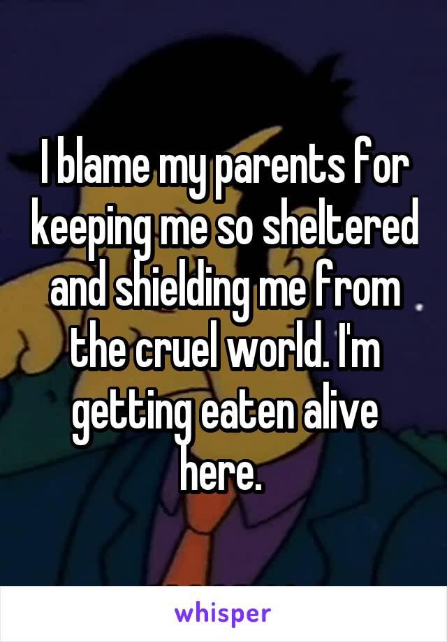 I blame my parents for keeping me so sheltered and shielding me from the cruel world. I'm getting eaten alive here. 