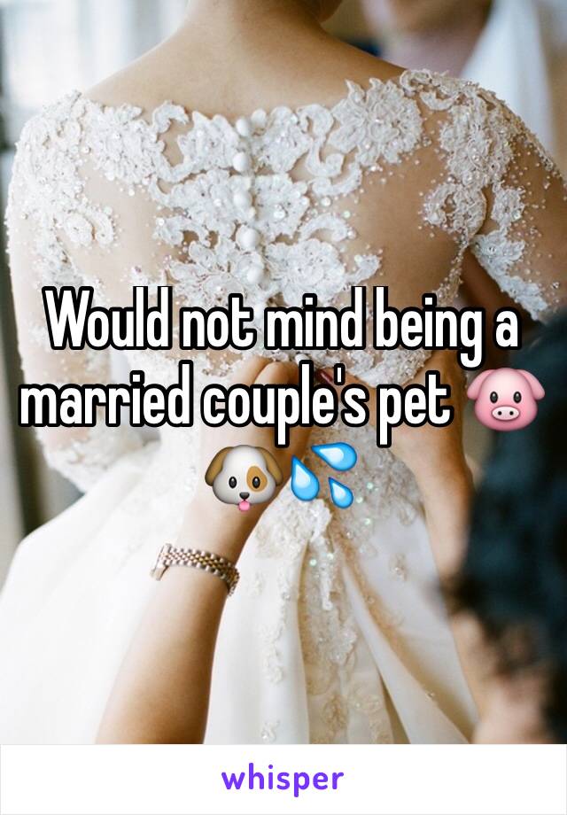 Would not mind being a married couple's pet 🐷🐶💦 