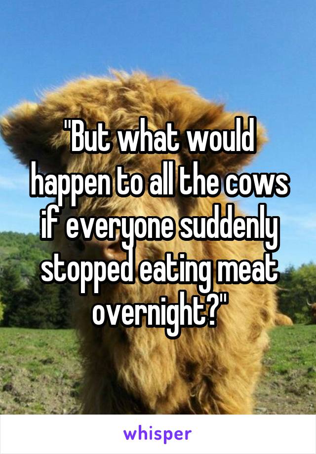 "But what would happen to all the cows if everyone suddenly stopped eating meat overnight?"