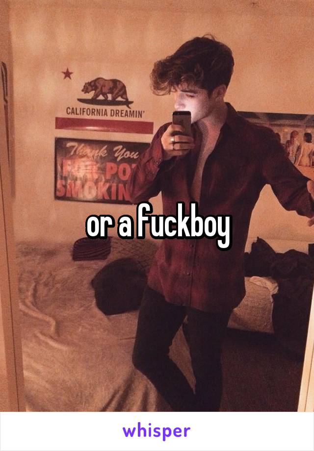 or a fuckboy