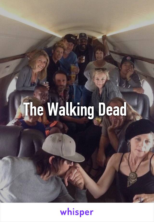 The Walking Dead 