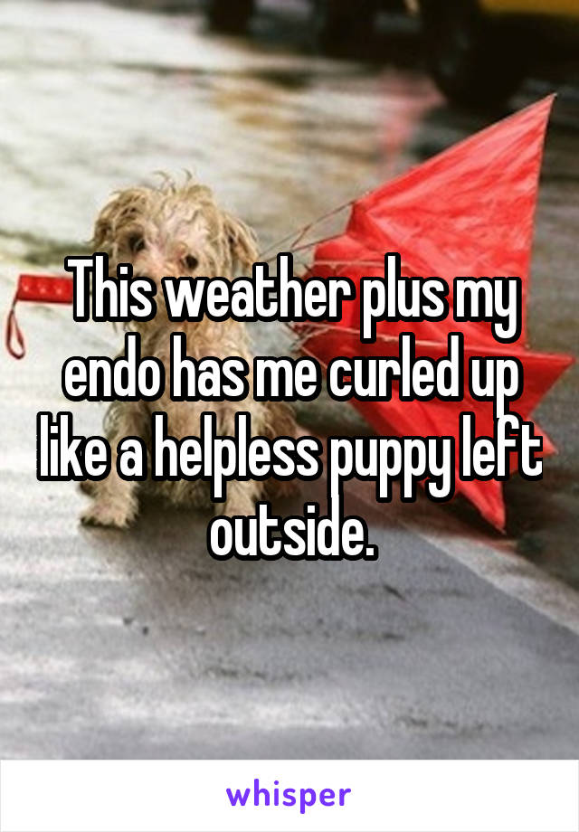 This weather plus my endo has me curled up like a helpless puppy left outside.