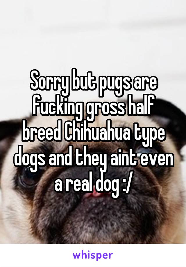 Sorry but pugs are fucking gross half breed Chihuahua type dogs and they aint even a real dog :/