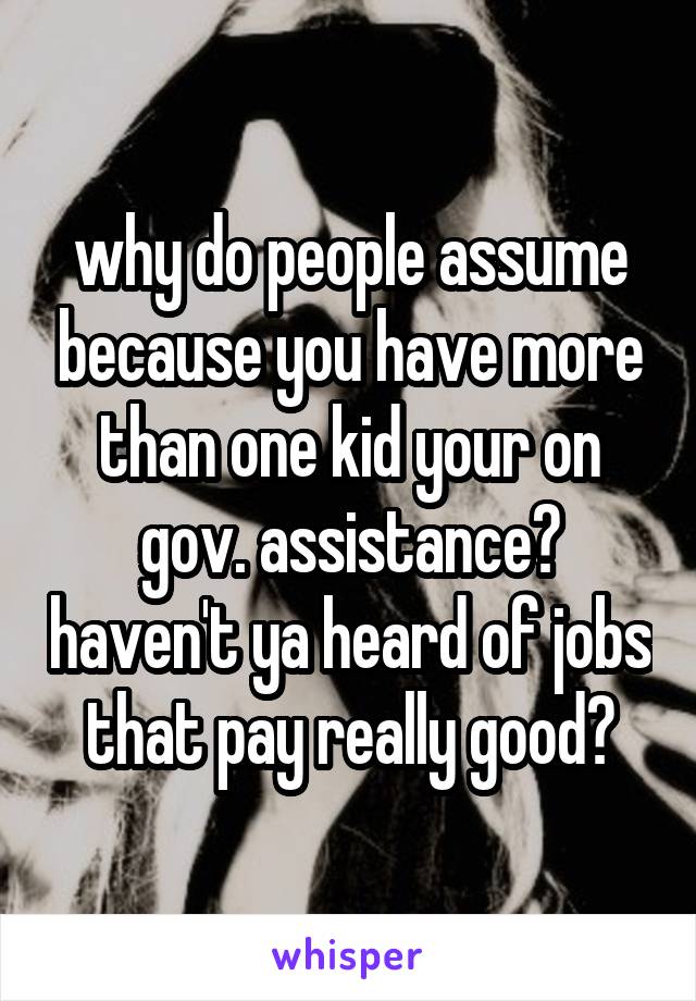 why do people assume because you have more than one kid your on gov. assistance? haven't ya heard of jobs that pay really good?